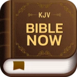 kjv bible now android application logo